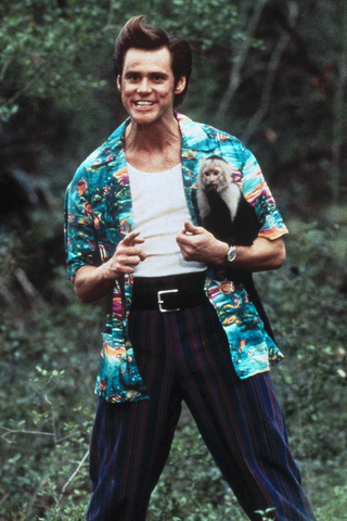 Ventura V4 Button Down