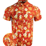 Bliss Vector Red Button Down