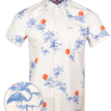Charlie Zero-Two Button Down