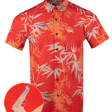 Chuck Button Down