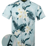 Hutch Button Down