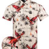 Little Friend Button Down