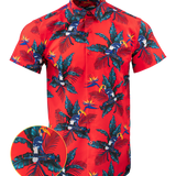 Perched Button Down