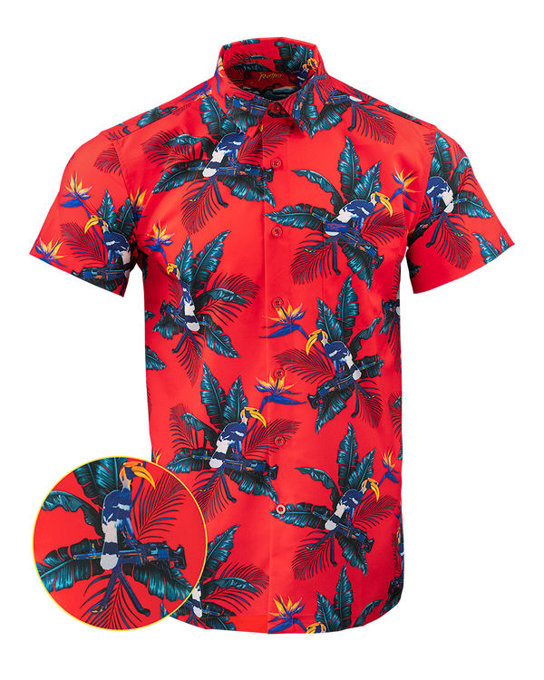 Perched Button Down