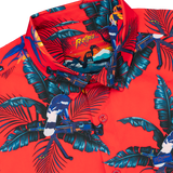 Perched Button Down