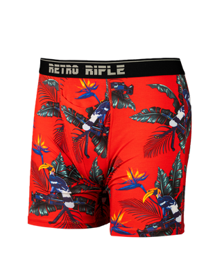 Pop Culture Boxer Briefs 3-Pack - Final Sale