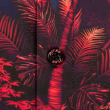 The Apache Button Down