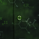 The Chemist Button Down