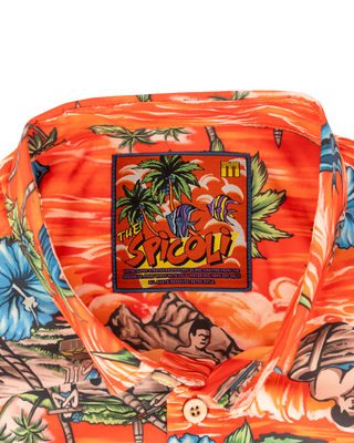 The Spicoli Button Down