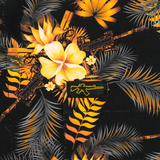 Tropics Black/Gold Button Down (Youth)
