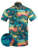 Ventura V4 Button Down